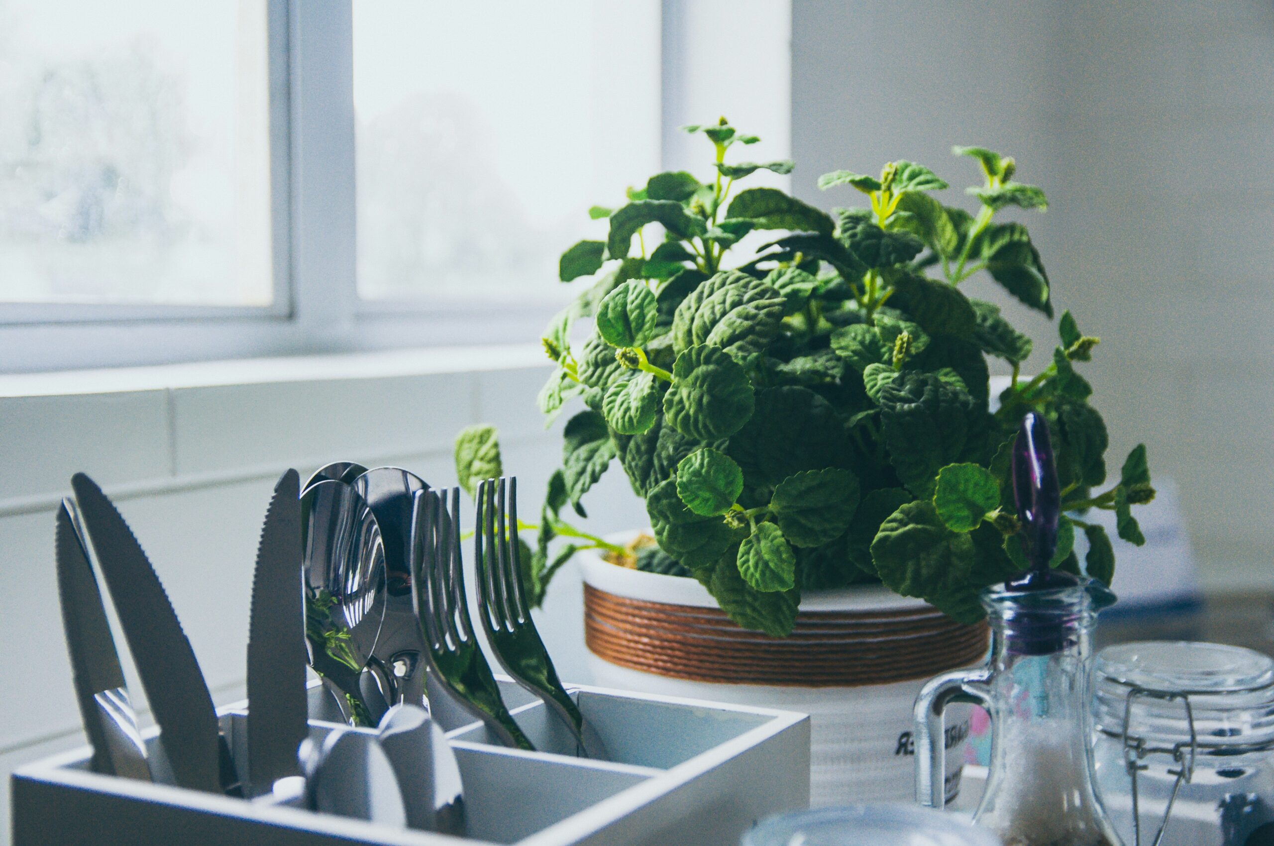 al-kawasa-HbSsikCxgds-unsplash Fresh herbs under natural light showing aromatic plant sources