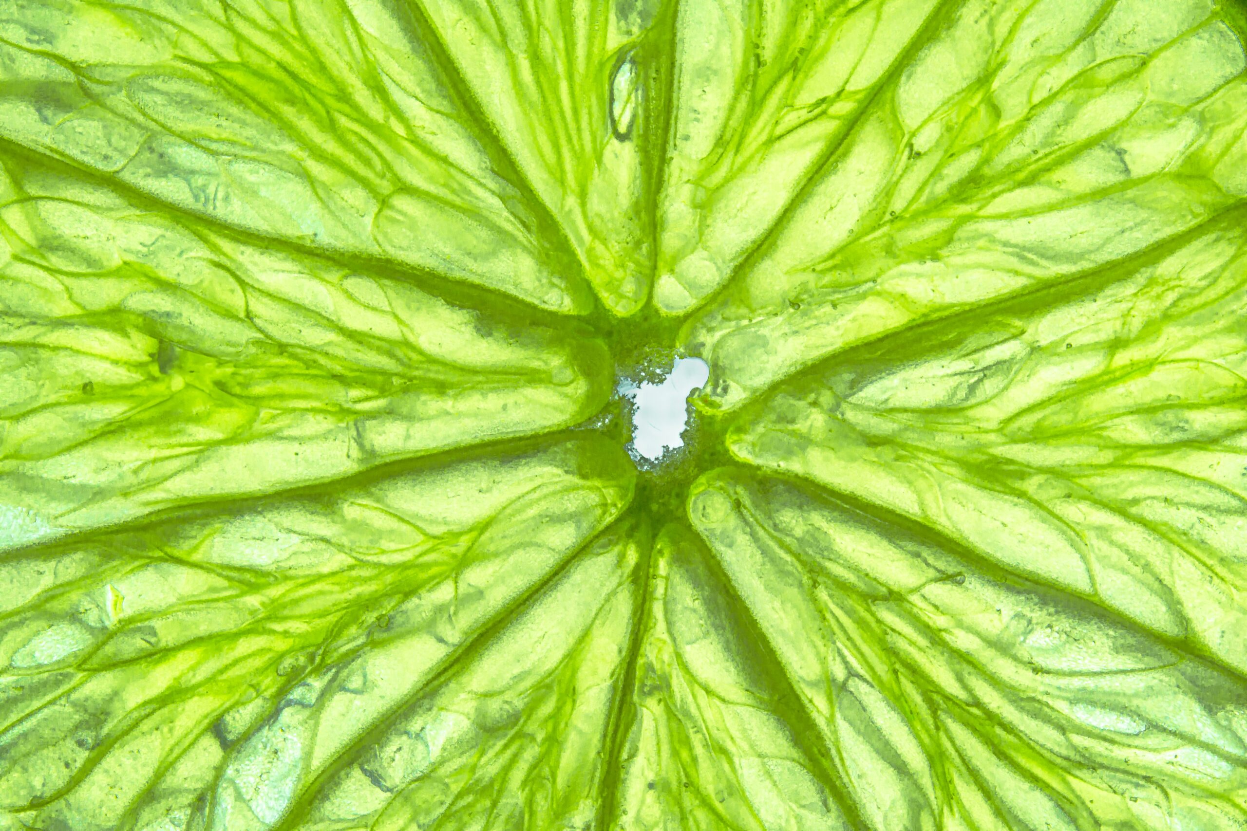 mohamed-marey-VXYSxSS7D3c-unsplash Macro view of citrus peel texture highlighting natural aromatic oils